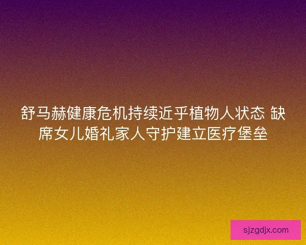 舒马赫健康危机持续近乎植物人状态 缺席女儿婚礼家人守护建立医疗堡垒