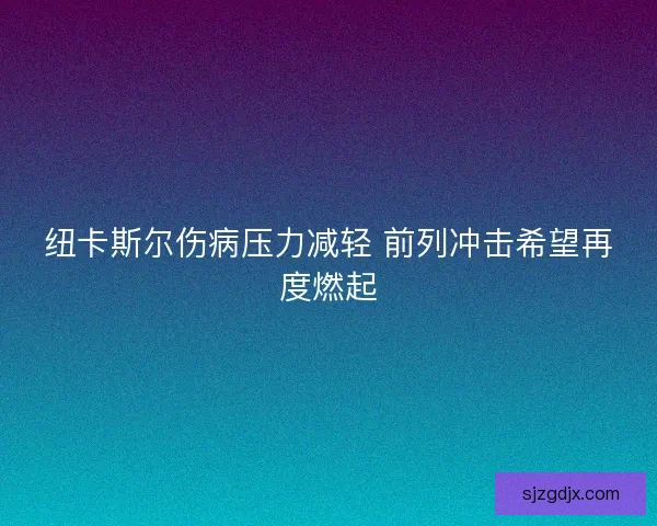纽卡斯尔伤病压力减轻 前列冲击希望再度燃起