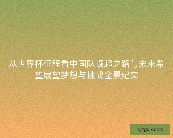从世界杯征程看中国队崛起之路与未来希望展望梦想与挑战全景纪实