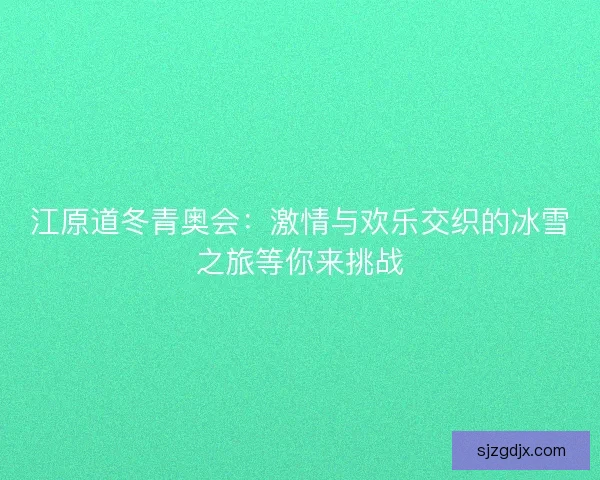 江原道冬青奥会：激情与欢乐交织的冰雪之旅等你来挑战