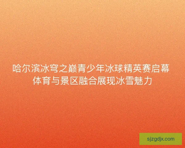 哈尔滨冰穹之巅青少年冰球精英赛启幕 体育与景区融合展现冰雪魅力 哈尔滨冰穹之巅青少年冰球精英赛启幕 体育与景区融合展现冰雪魅力